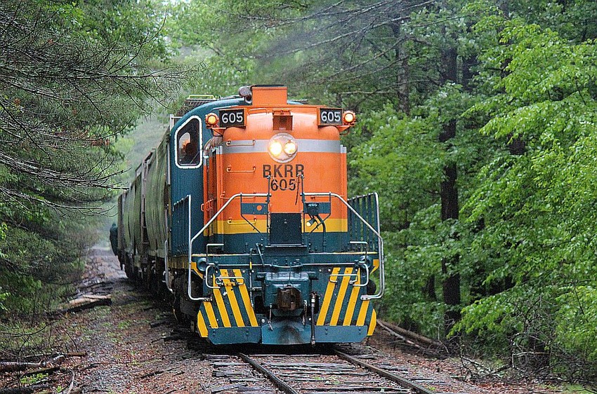 Photo of Batt Kill Railroad -- Saturday May 25,  2013