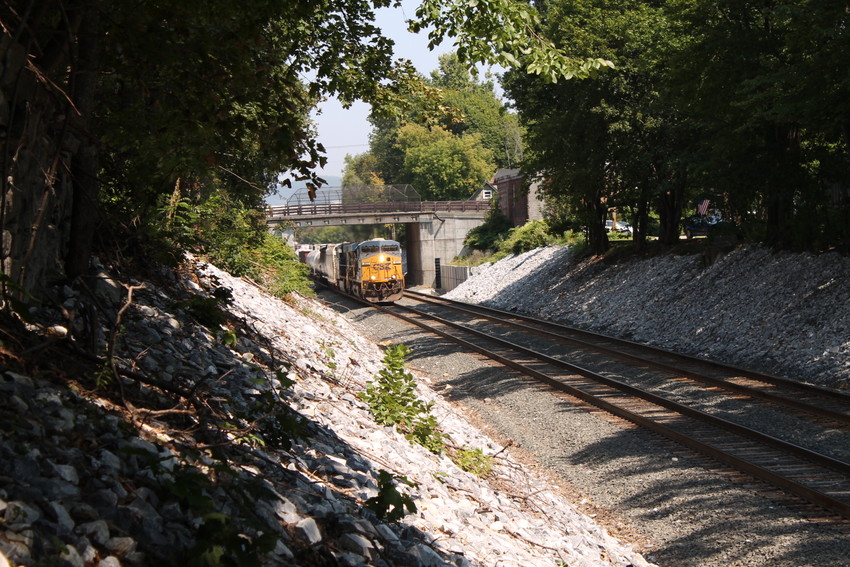 Photo of CSX Train Q42521