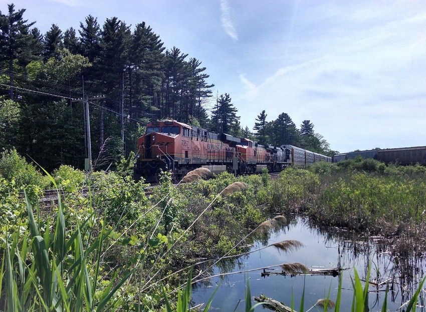 Photo of Train 206