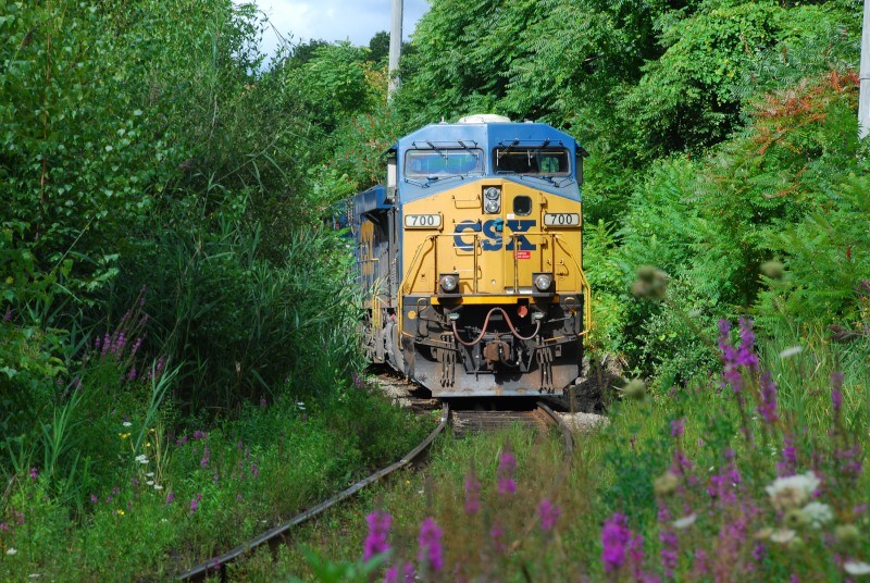 Photo of CSX Q426 or SEPO tied down in Worcester