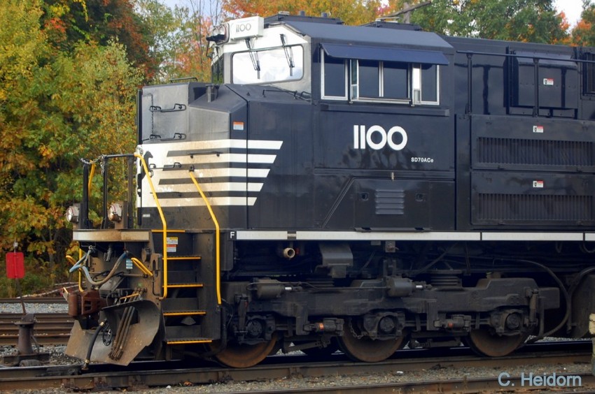 Photo of Portrait of NS1100