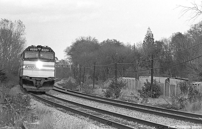Photo of Amtrak on the Dorchester Branch