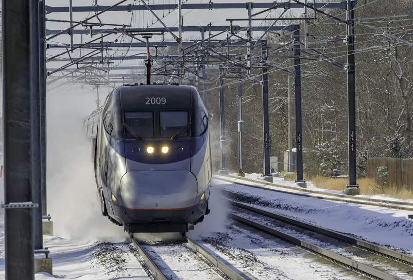Photo of Acela 2009 Frolicking in the Snow Saturday