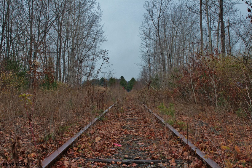 Photo of The old Adams/North Adams Branch line in Pittsfield MA