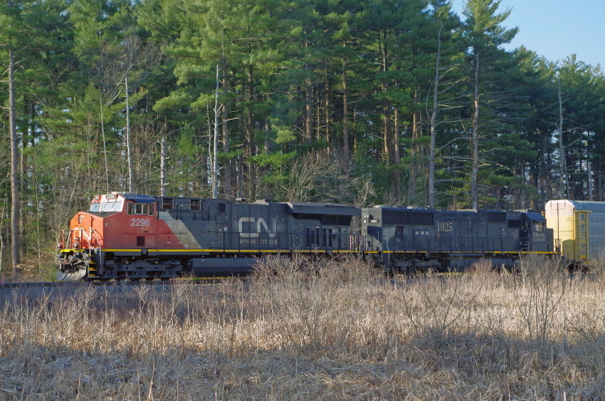 Photo of Canadian National & Illinois Central @ Ayer, Ma.