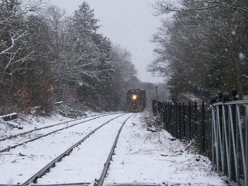 Photo of Snowy day at Otis junction in North Falmouth,MA