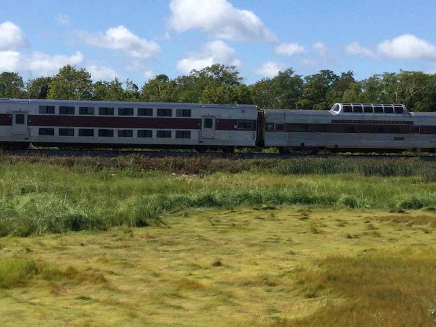 Photo of Cape Cod Central Scenic Train passing the marsh