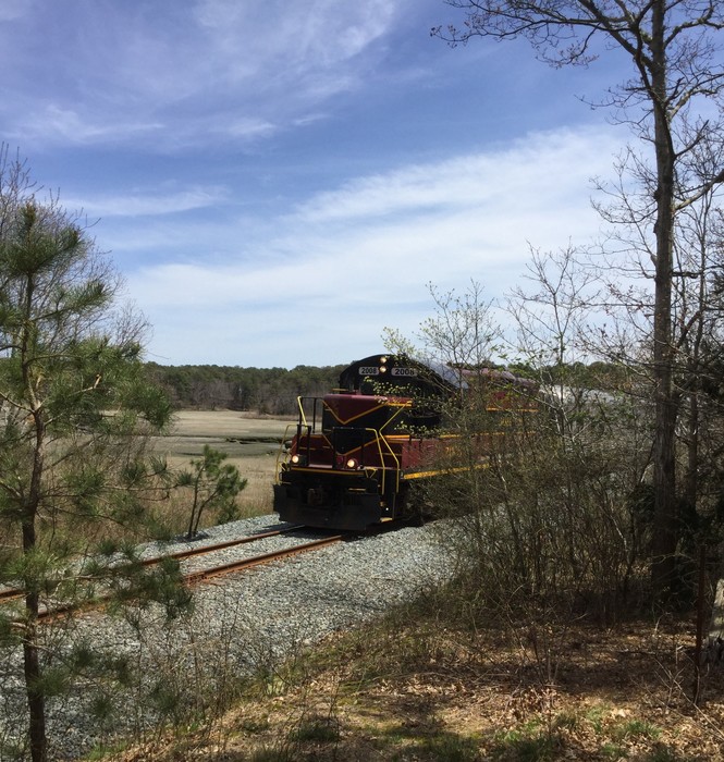 Photo of First Scenic Train of 2018