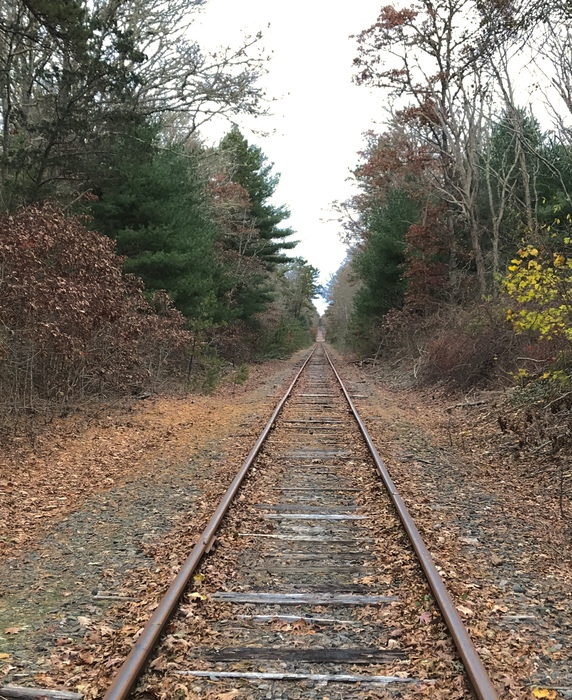 Photo of Looking North On The Falmouth Secondary Line In Cataumet, Massachusetts