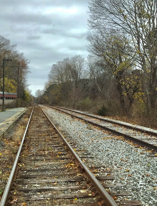 Photo of Looking North On The Cape Main Line In West Barnstable, Massachusetts