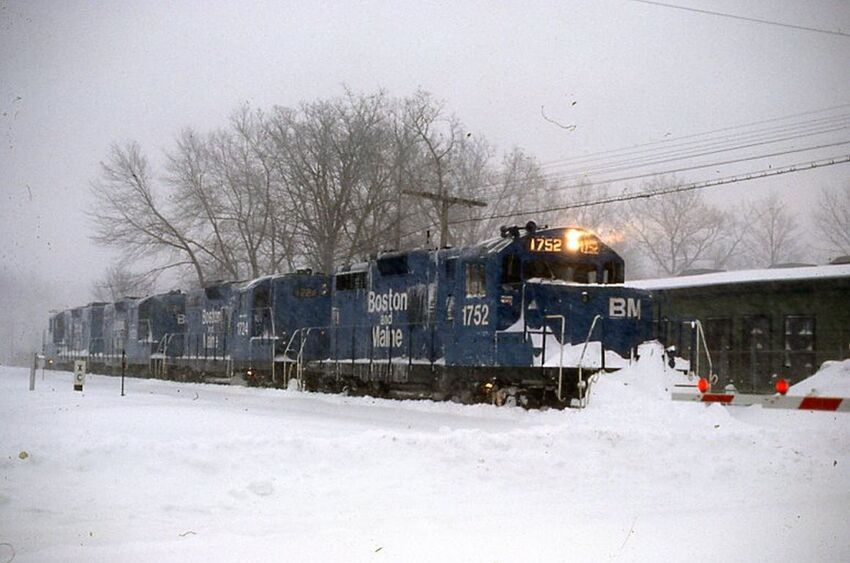 Photo of B&M Bluebirds At Ayer
