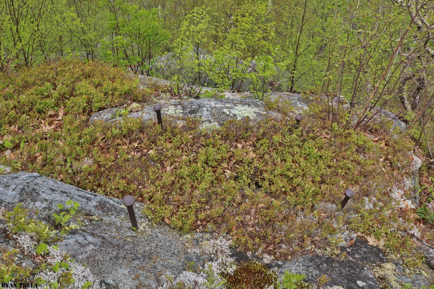 Photo of Old Hoosac Tunnel alignmant tower site.