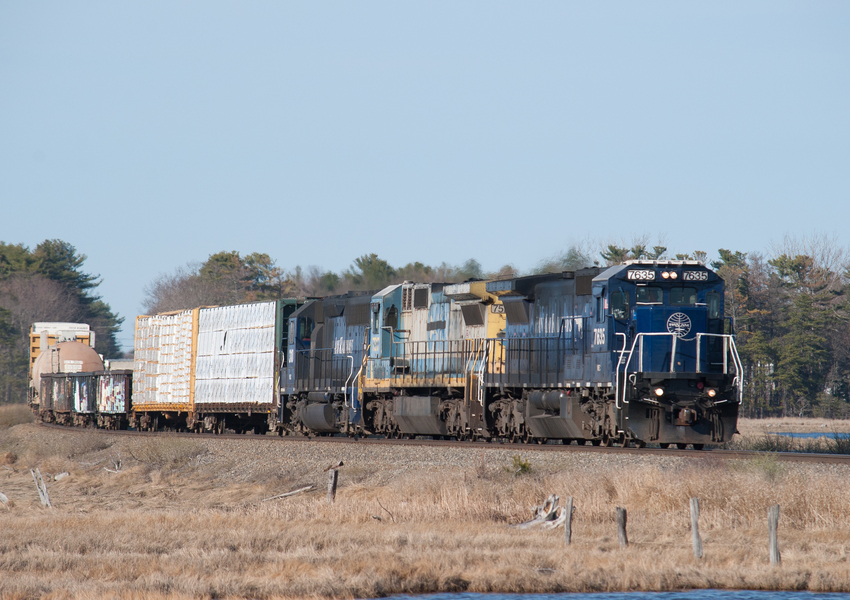 Photo of POED 7635 at the Scarborough Marsh