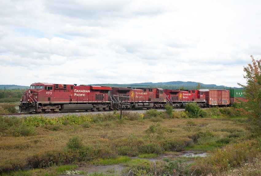 Photo of CP 8872 Leads 251 at Long Pond