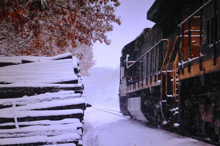 Photo of First Snow