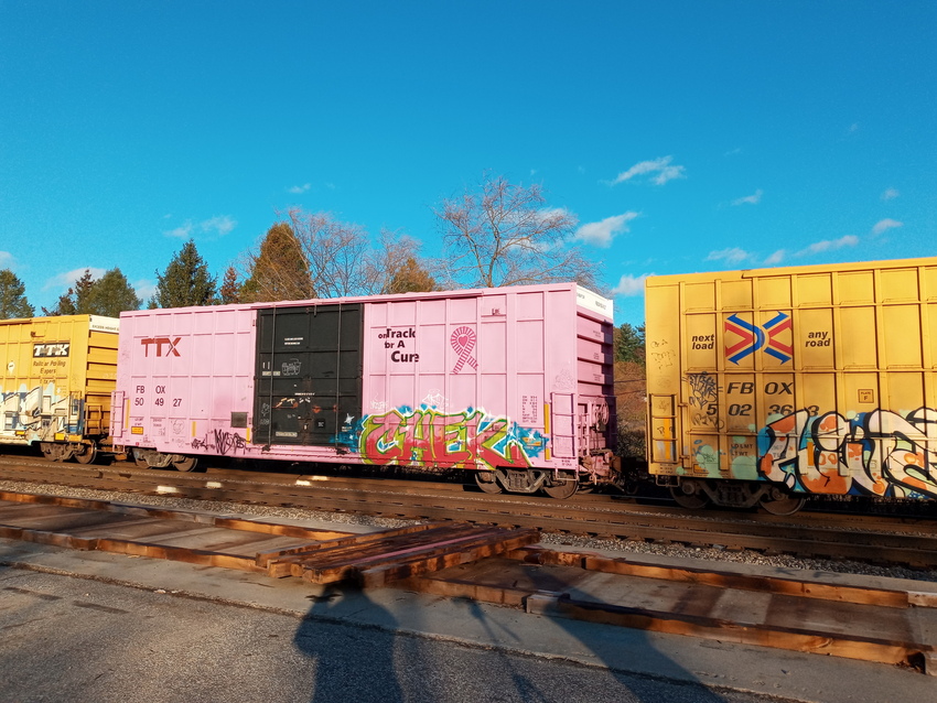 Photo of Breast cancer TTX boxcar