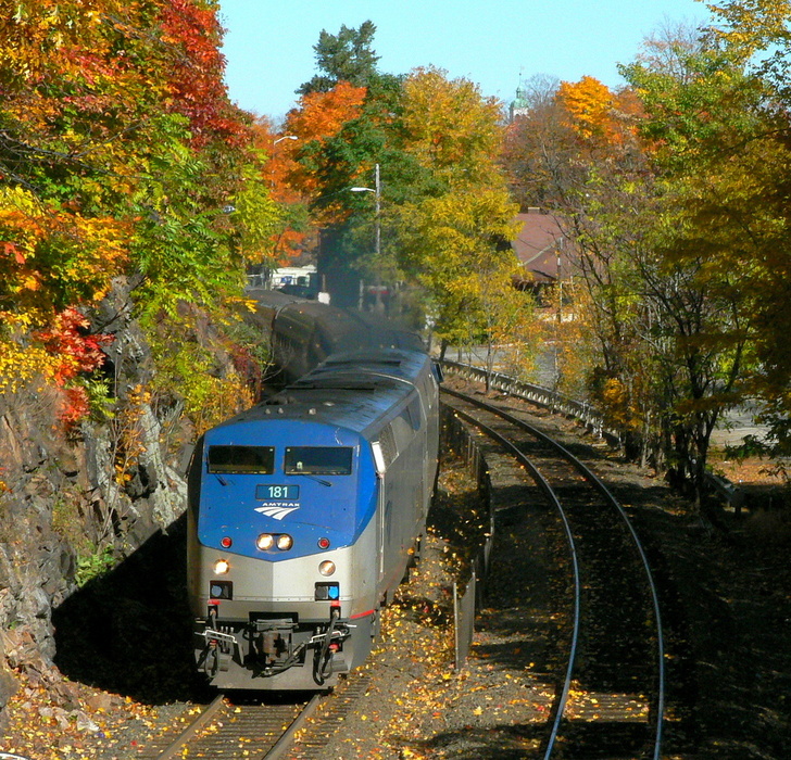 Photo of Amtrak 449 makes the leaves dance