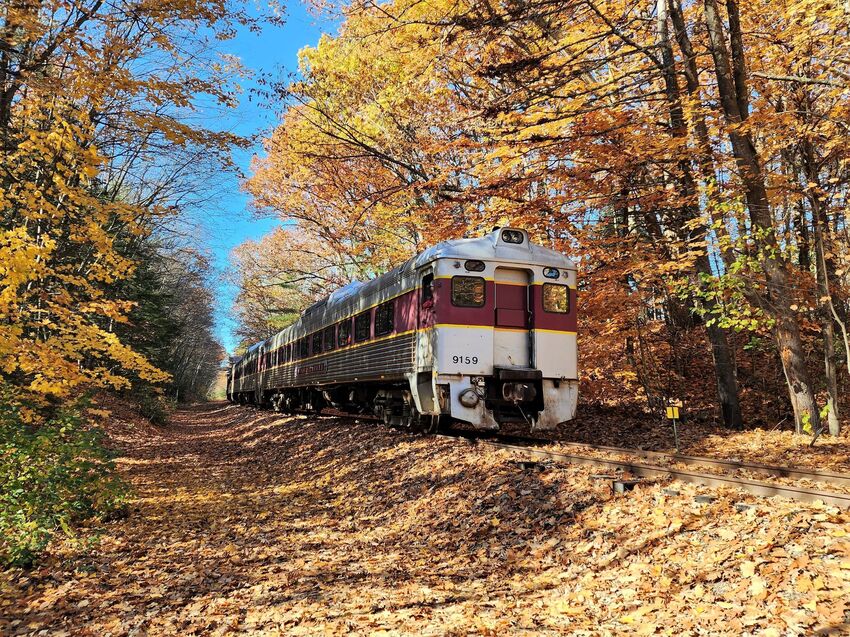 Photo of Pumpkin Express Train in Belmont NH.