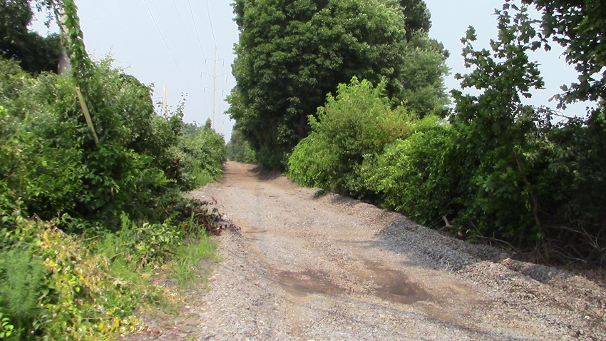 Photo of Lowell Hill Industrial Track