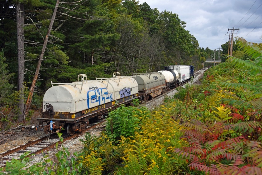 Photo of LO66 Milford